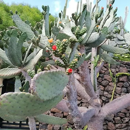 Casa de Férias Mit Whirlpool By Interhome Playa Blanca (Lanzarote)